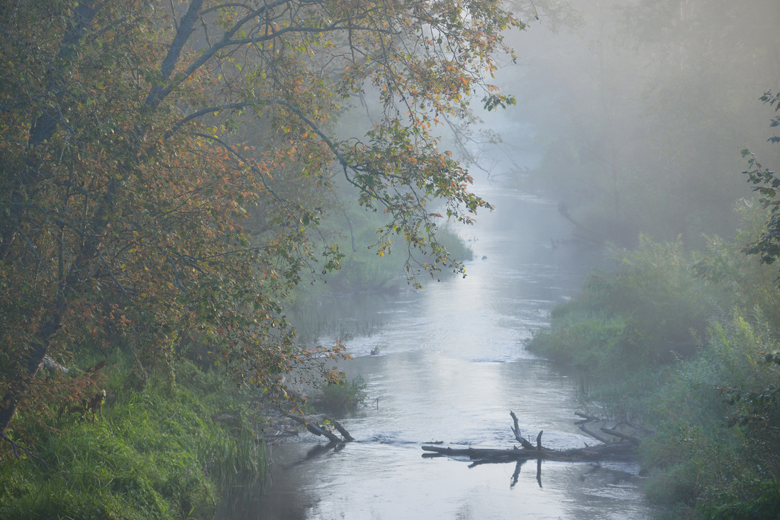 Cross The River